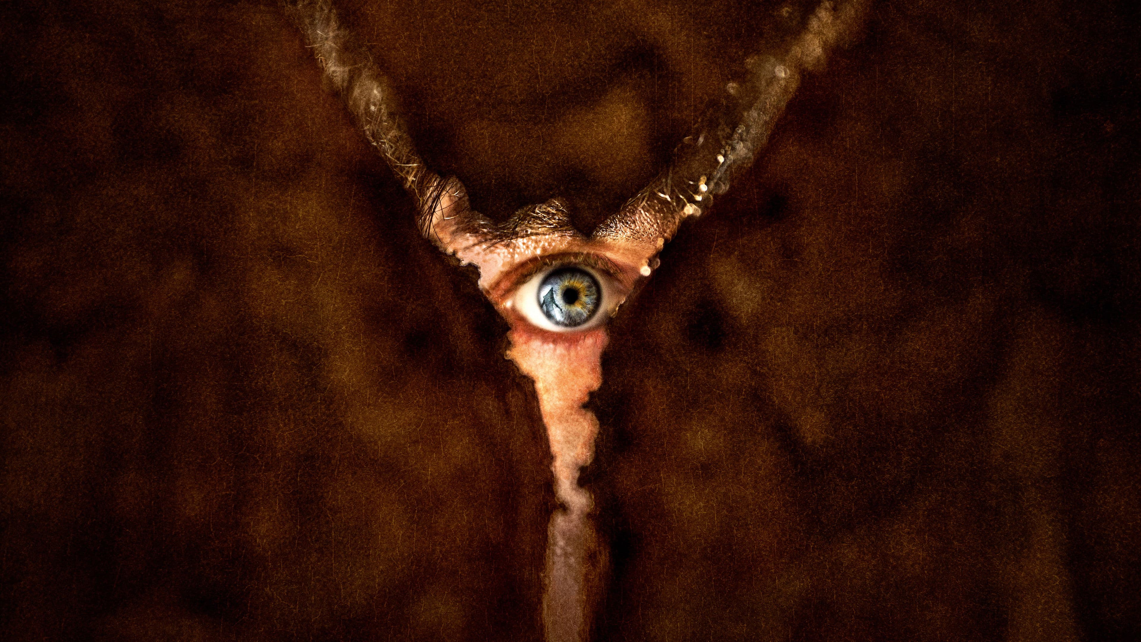 Return to Silent Hill cover image