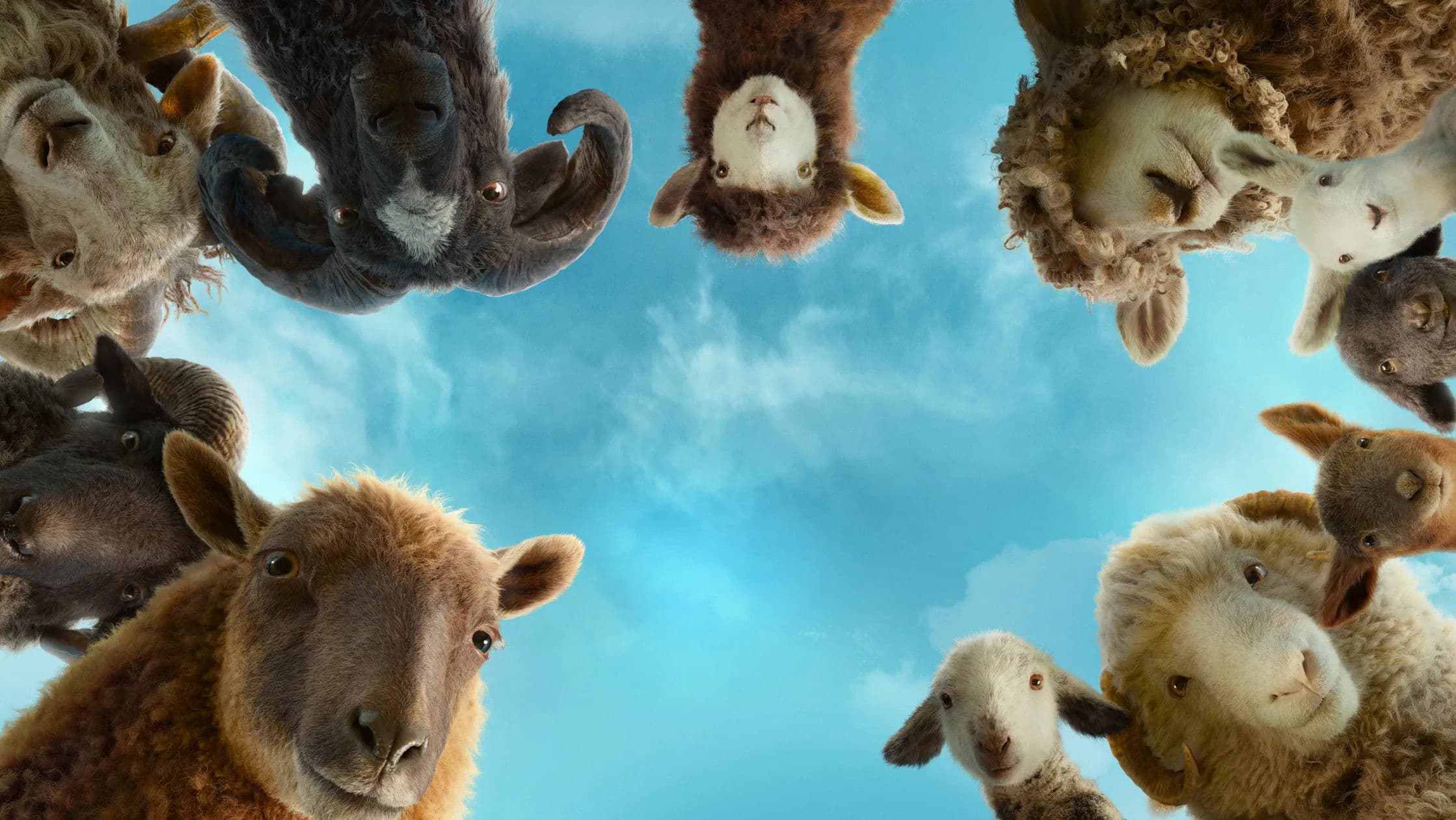 The Sheep Detectives cover image