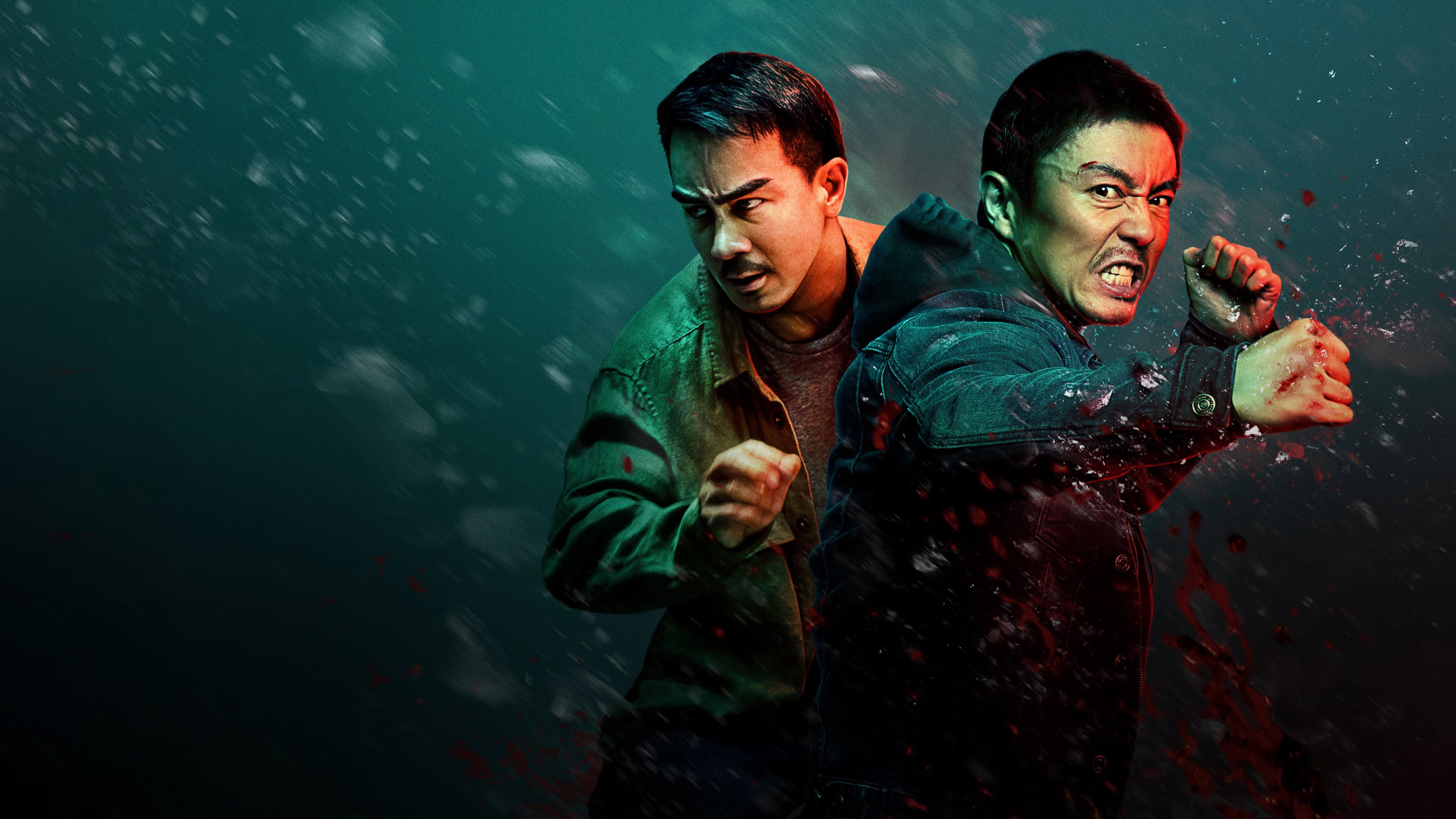The Furious cover image