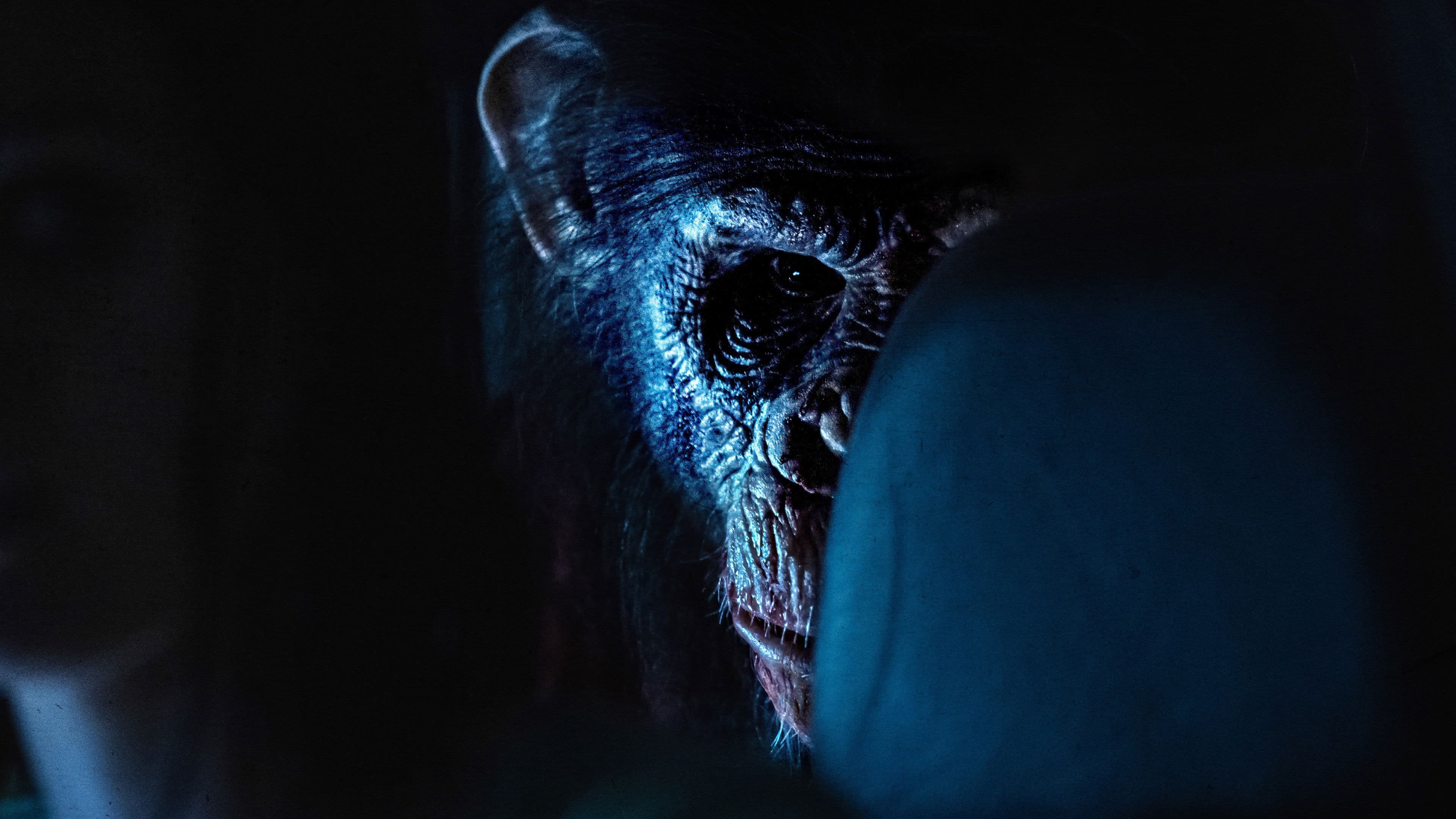 Primate cover image