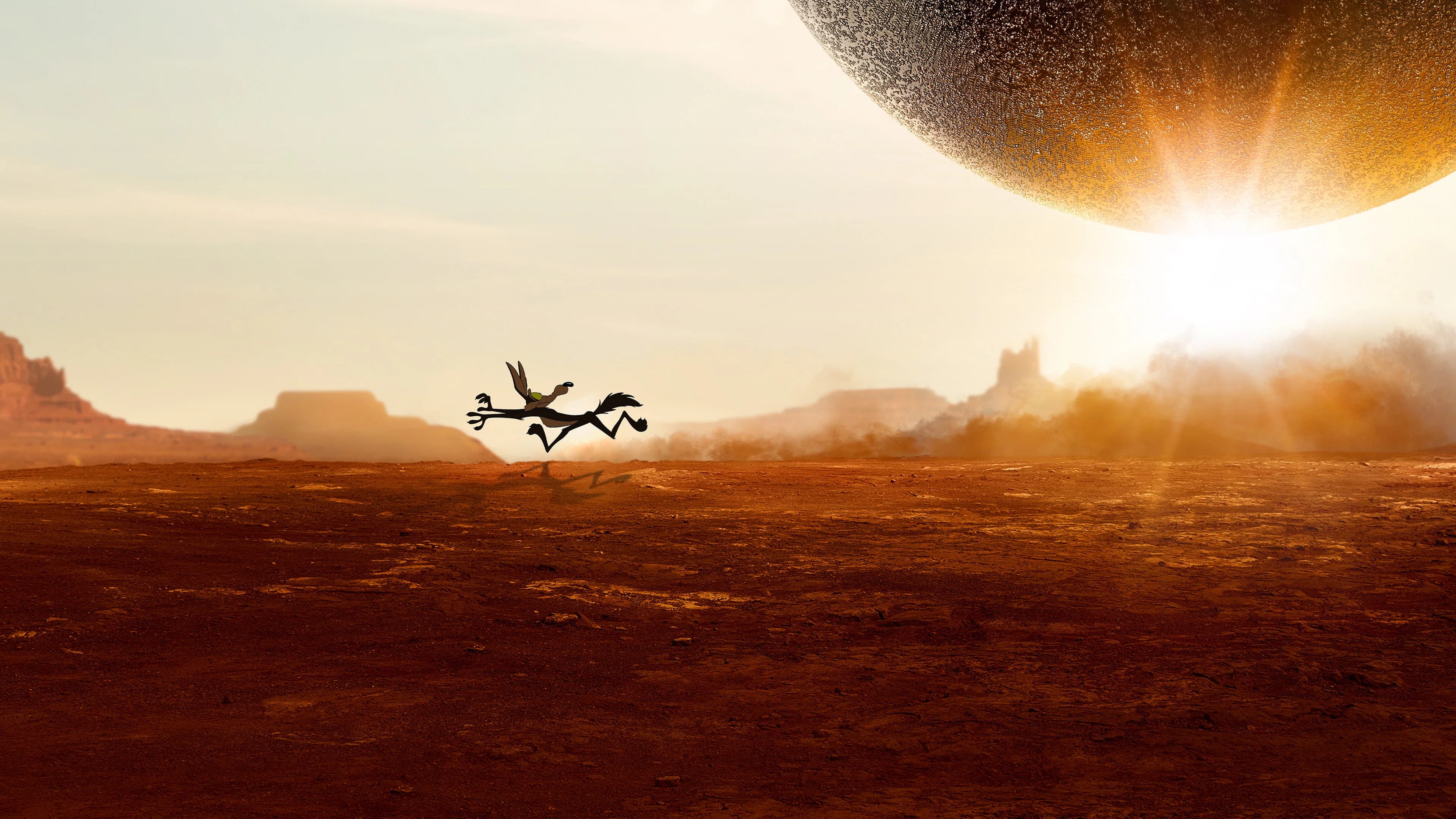Coyote vs. Acme cover image